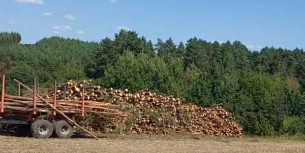 Дрова продаж опт