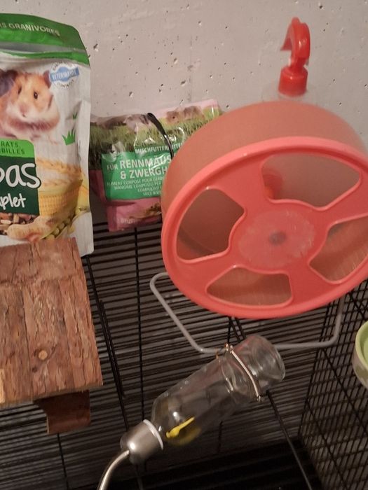 Klatka dla gryzoni duża