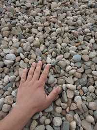 Kamień otoczak żwir 2-8, 8-16, 16-32 ,32-100 do betonu ,drenażu,