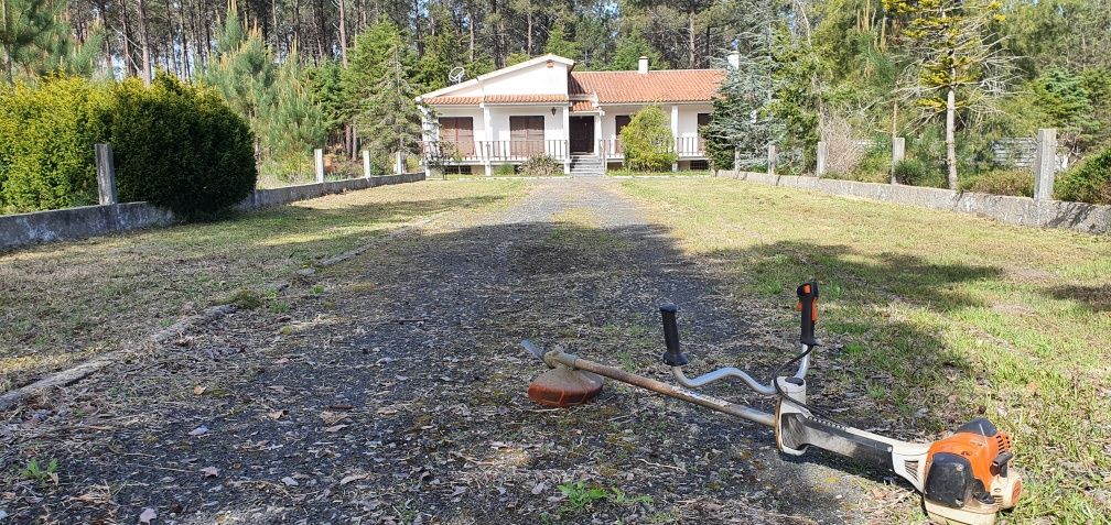 Limpeza / Desmatação de mato em terrenos