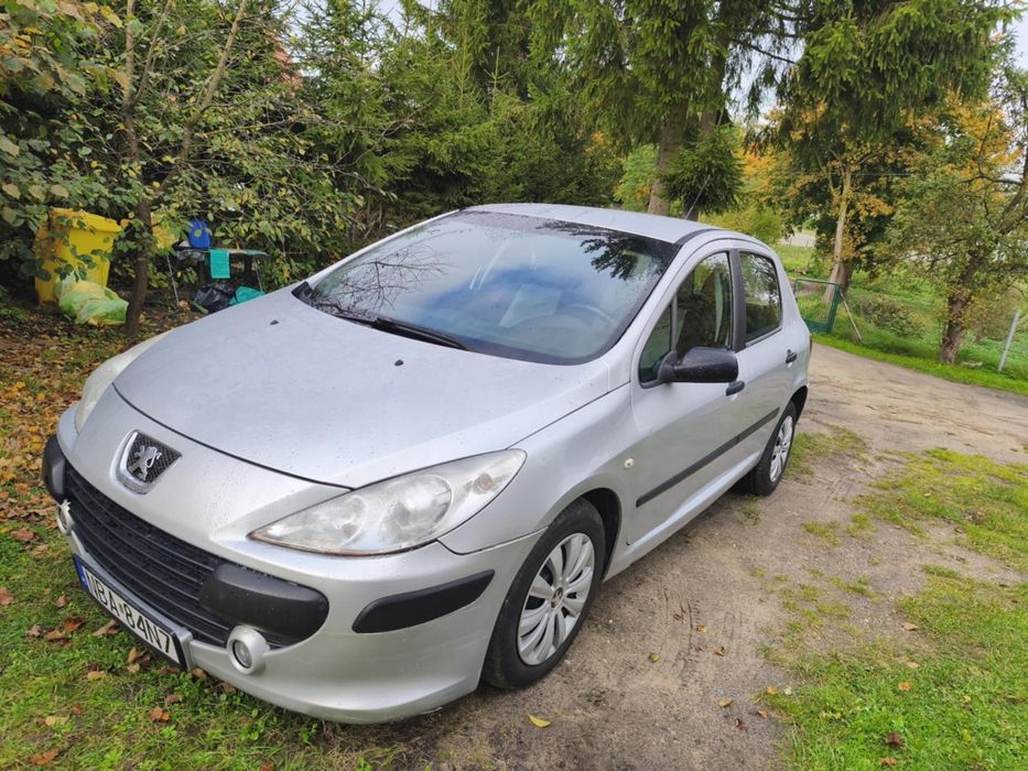 Peugeot 307 1.6 HDI 2005, długie terminy OC i przegląd