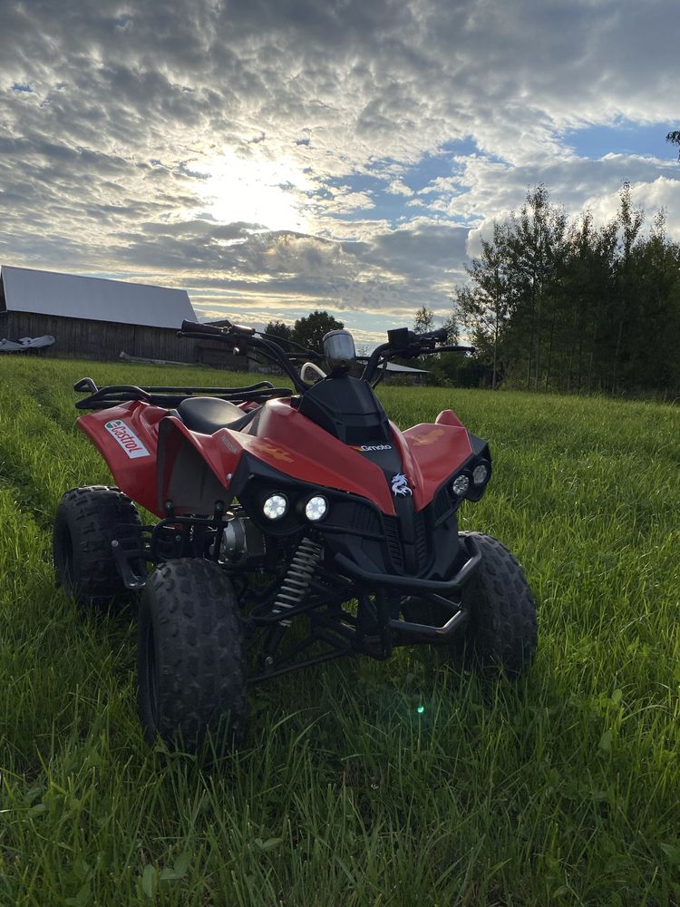 Quad Bombardier 125ccm