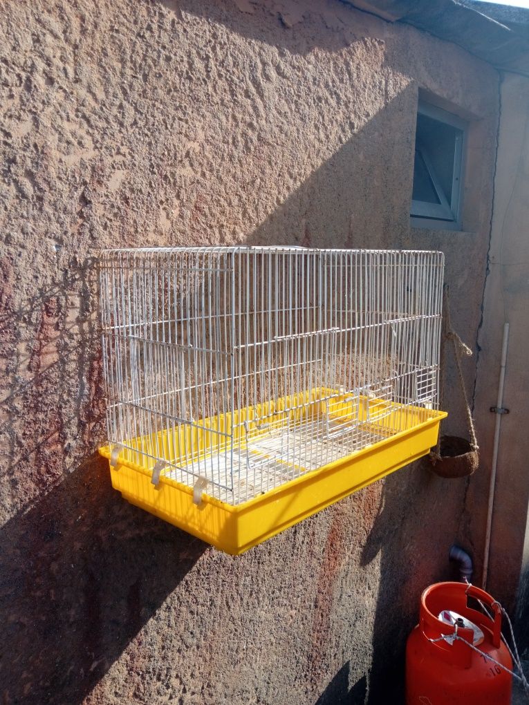 Gaiola para aves