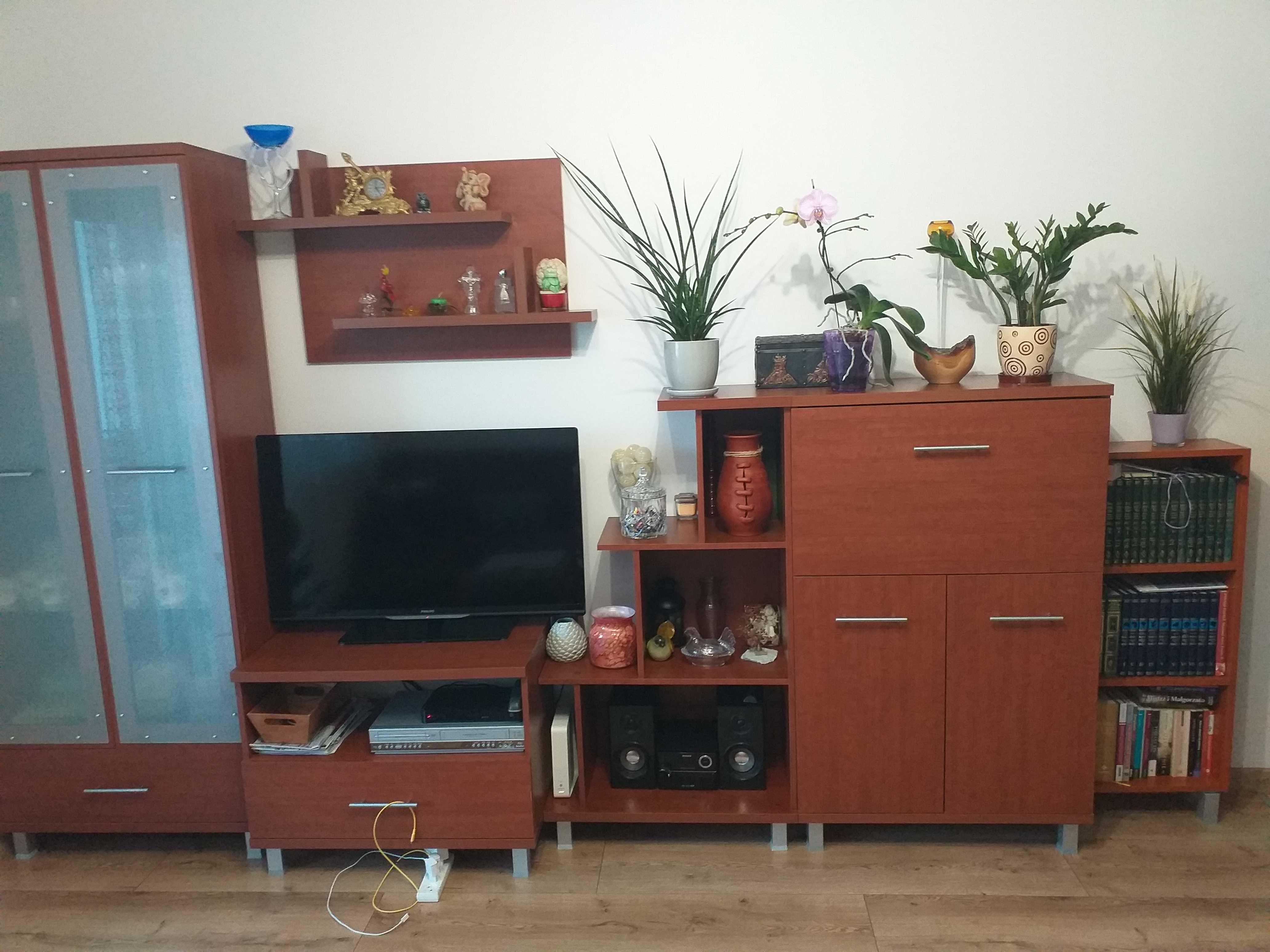 Meble do salonu witryna, komoda, szafka RTV