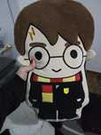 Almofada harry potter