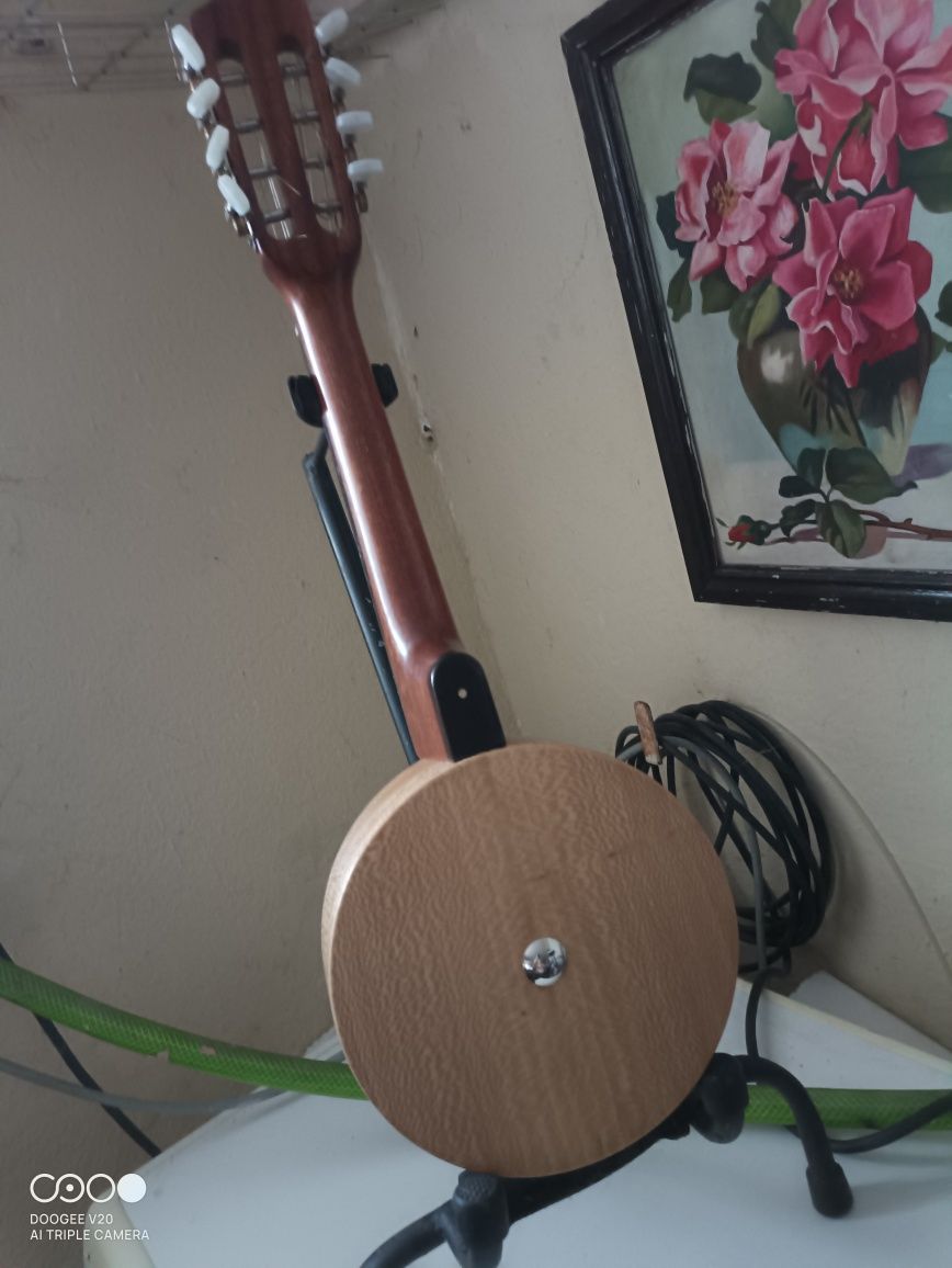 Banjos Bandolins