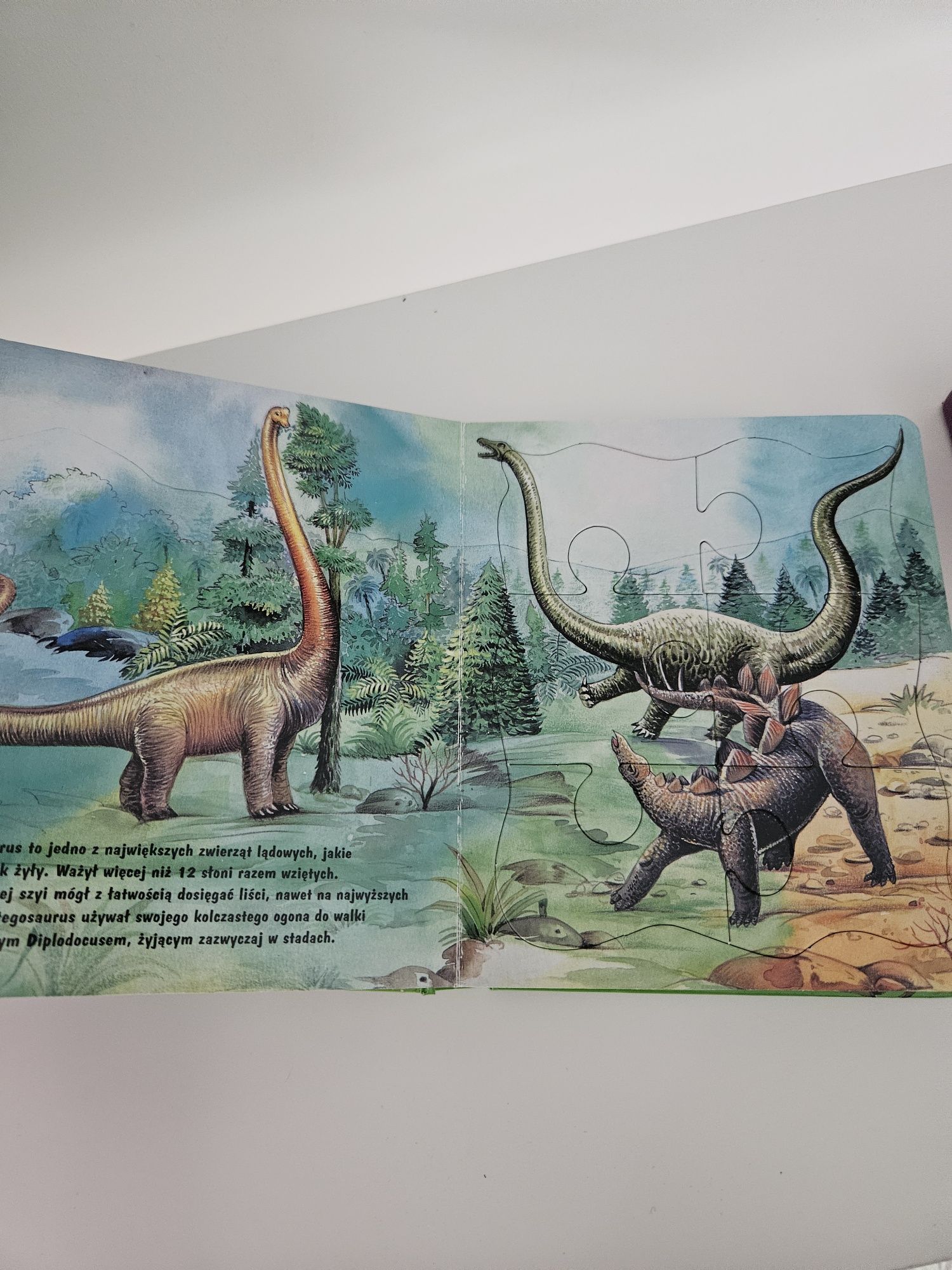Książeczki puzzle dinozaury