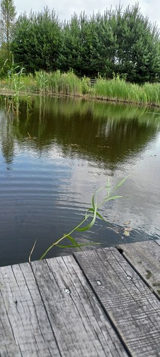 Dom z garażem POD MIASTEM /STAW/