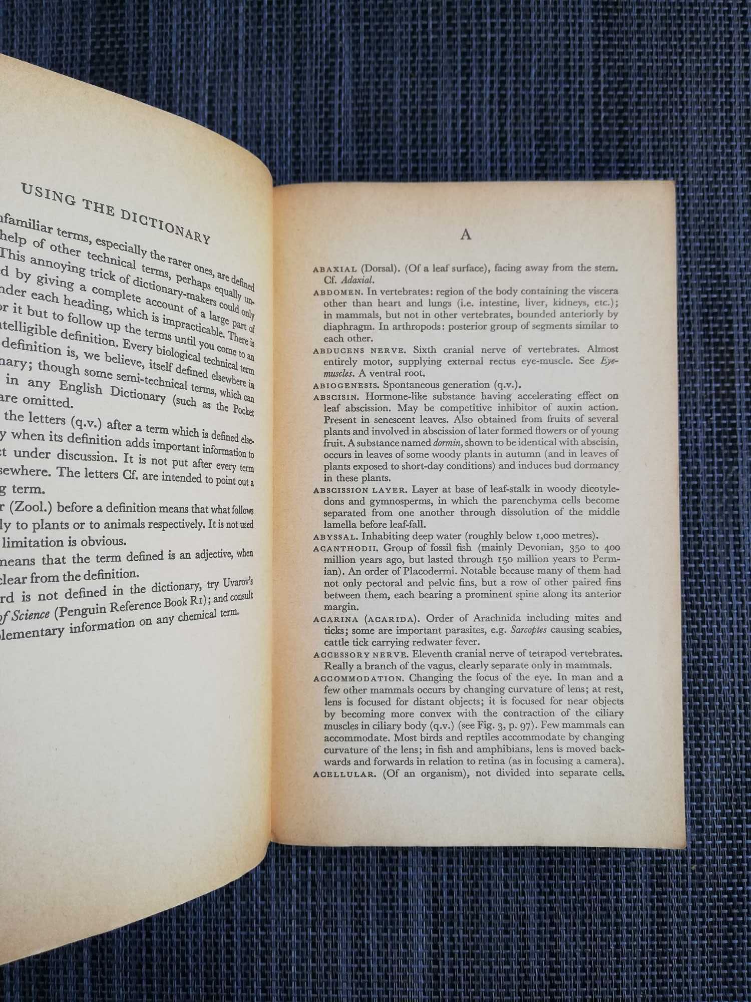 A Dictionary of Biology - vv.aa.