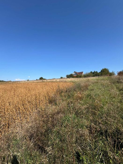 Земельна ділянка під забудову село Ружичанка