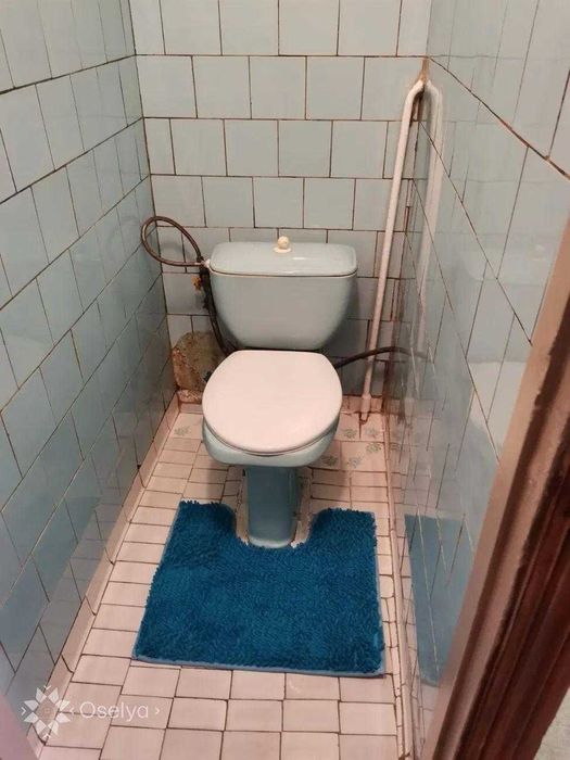 2-кімнатна квартира Лісовий масив Мілютенка 28-А Лісова Чернігівська