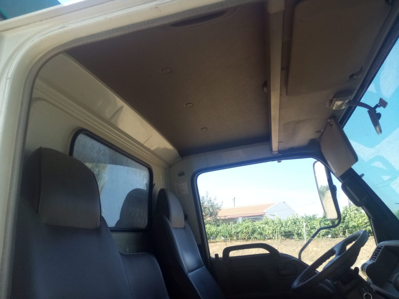 Isuzu transporte de animais vivos