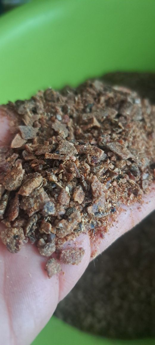 Propolis- kit szczeli