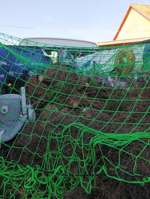 Ogrodnicze wycinka drzew samosiejow, zrębkowanie rębakiem.