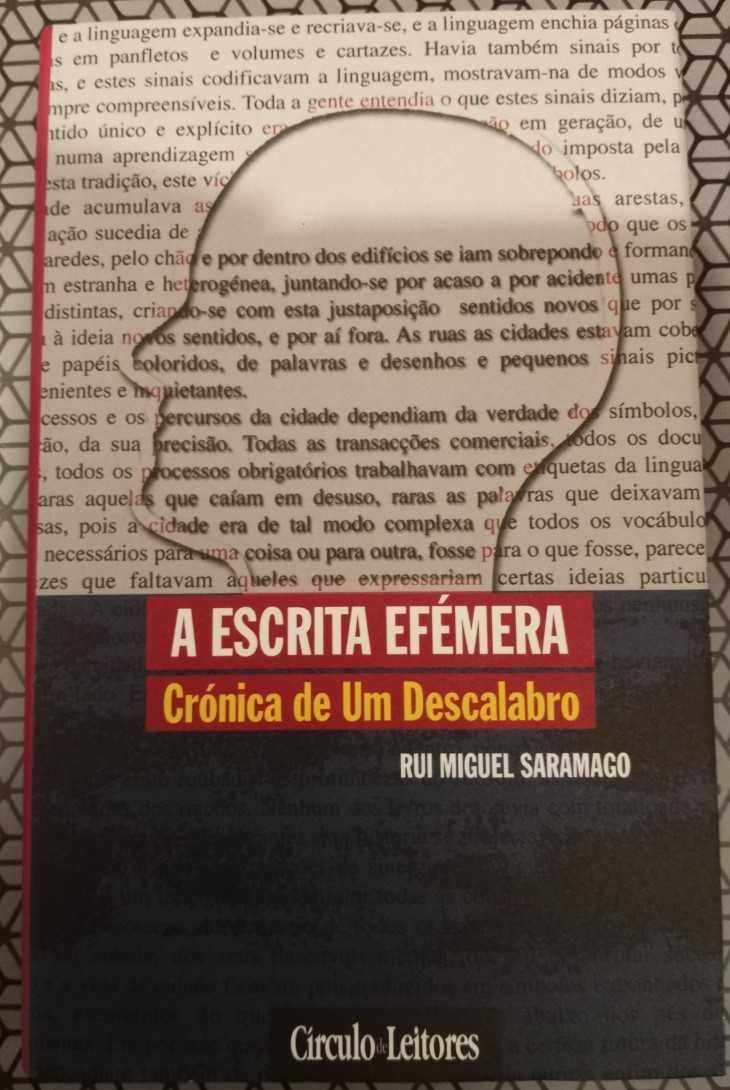 A escrita efémera, Rui Miguel Saramago