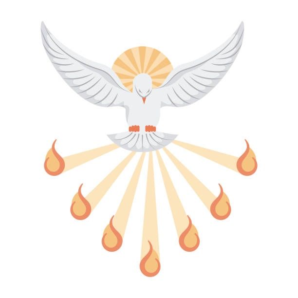 Kancelaria Pomocną Dłoń