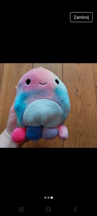 Pluszak ośmiornica