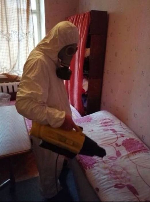 Дератизация травля крыс Травля клопов и тараканов холодным туманом