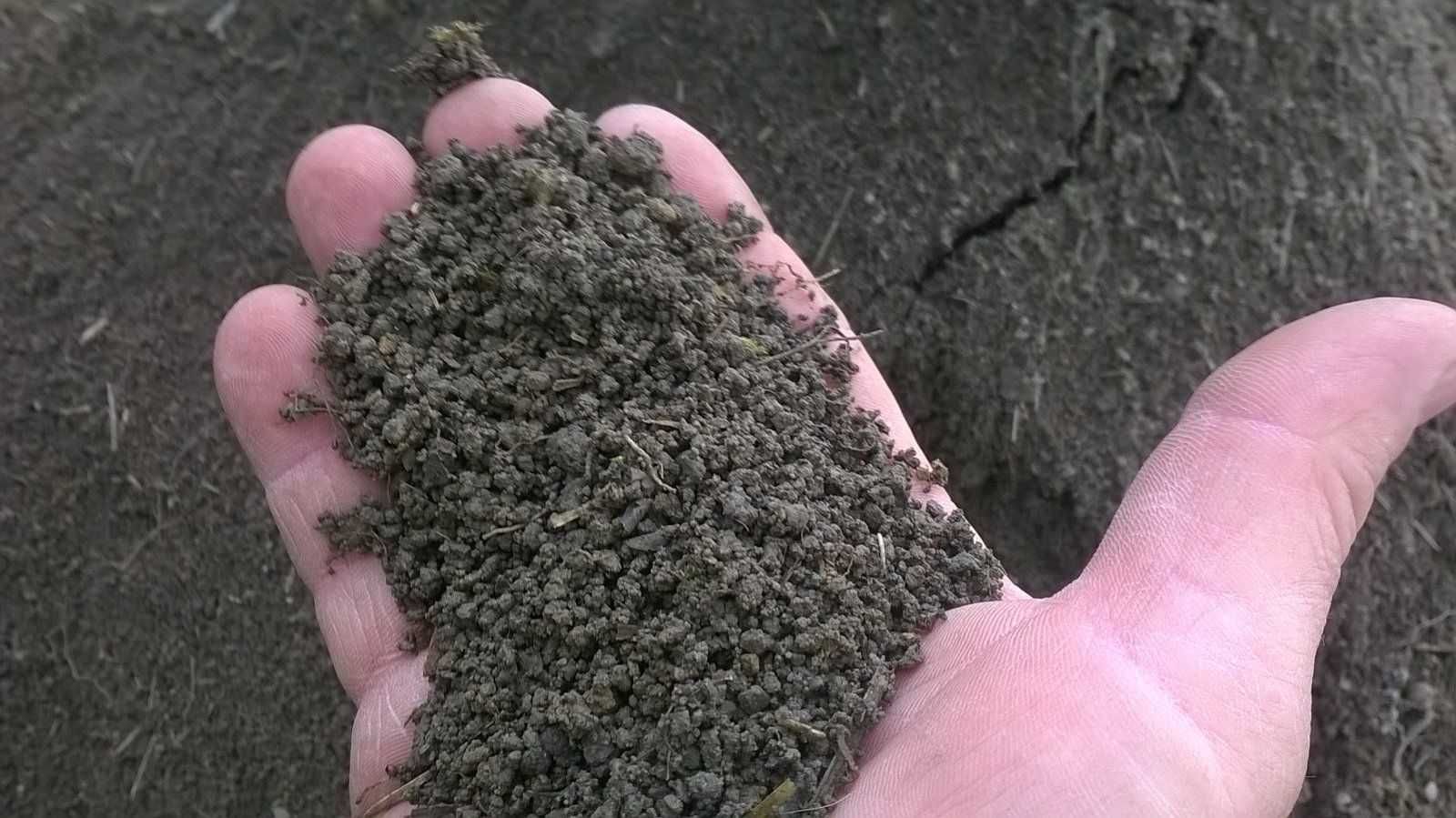 CZERNOZIEM ZIEMIA Siana Ogrodowa Pod Trawnik Do Warzyw Humus Kompost
