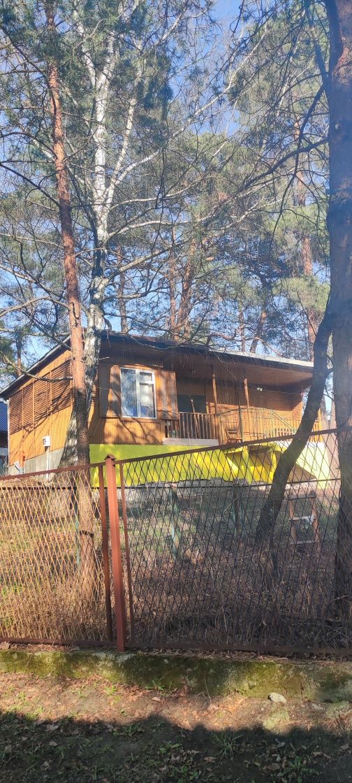 Tanie domki w centrum Radawy do wynajęcia