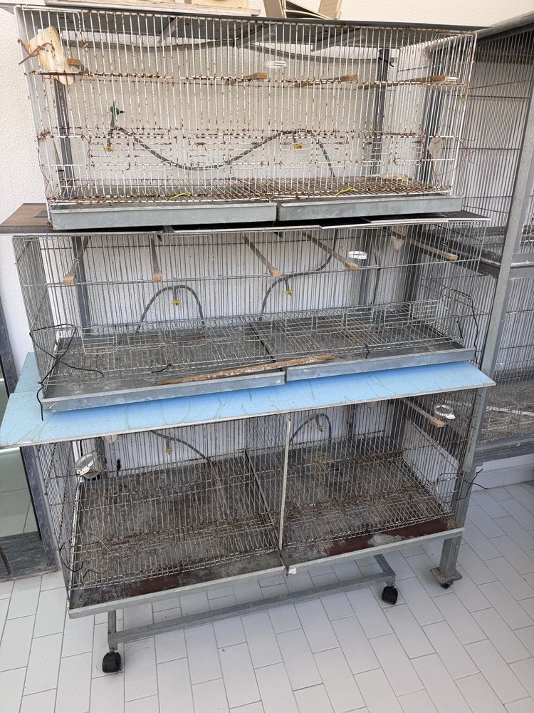 Gaiolas de criação de aves com suporte