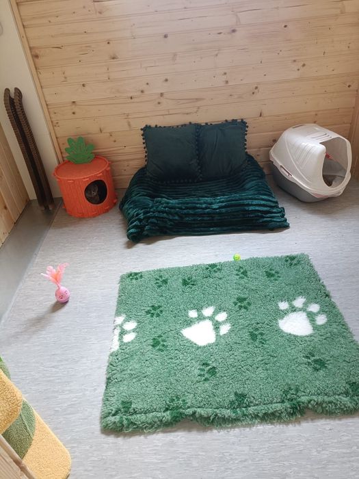 Luksusowy hotel dla psów i kotów Wesołe Łapki /Domowe warunki/profes..