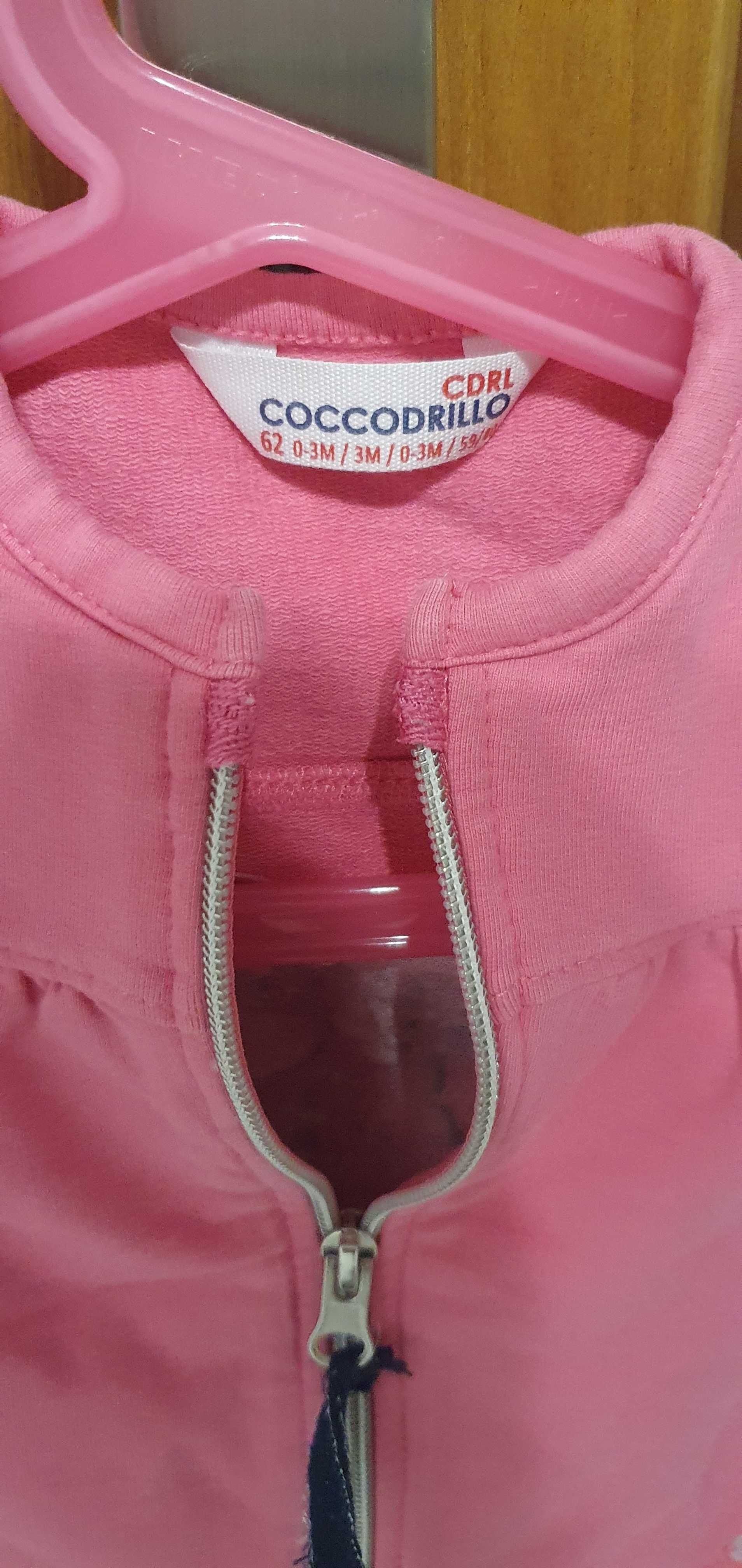 bluza z firmy coccodrillo
