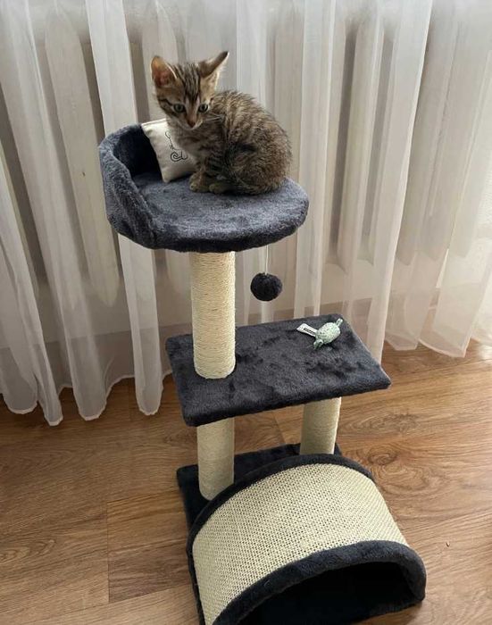 Drapak Dla Kota Legowisko 3 Poziomy Domek Wieża Duży Słupek Zabawka