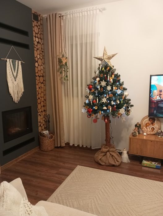 Choinka na pniu 180cm