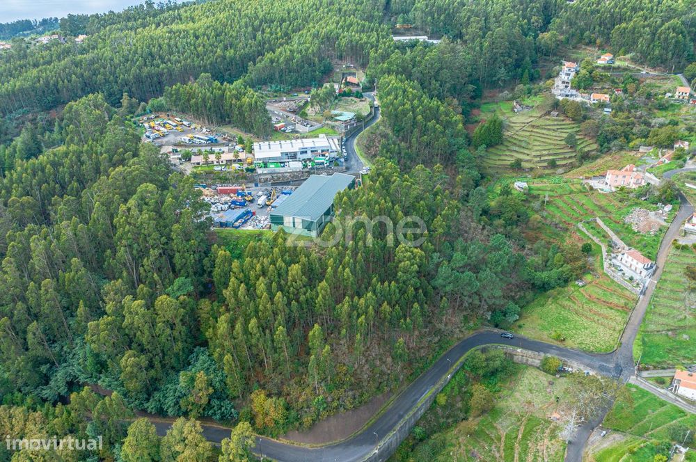 Terreno na Camacha
