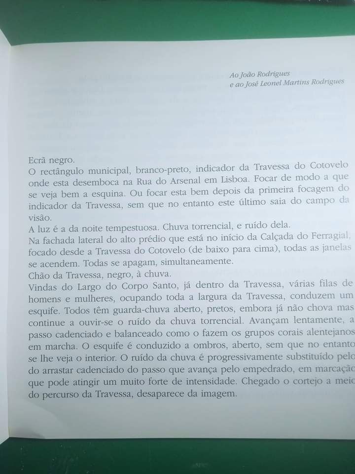 João Rodrigues  - Mario Cesariny