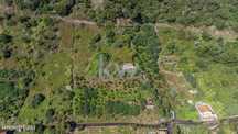 Terreno com 7040 m2, Localizado no Concelho de Santana, Freguesia do F