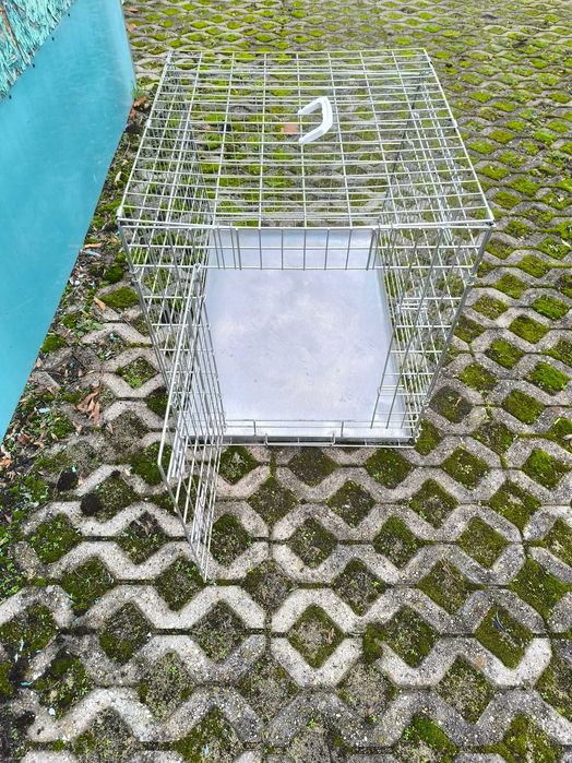 Duża klatka dla psa