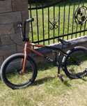 Rower bmx ctm pop