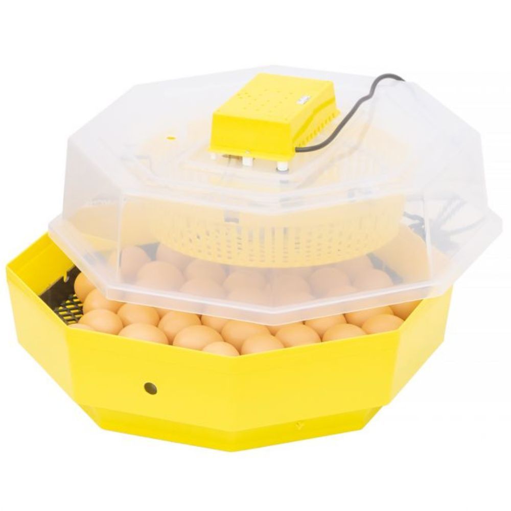 Inkubator do jaj iBator Home 60