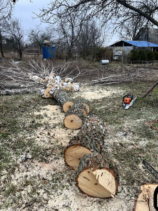 Зрізання аварійних дерев , чистка великих ділянок , різання дров