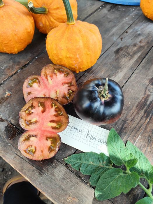 Набір насіння томатів колекційних