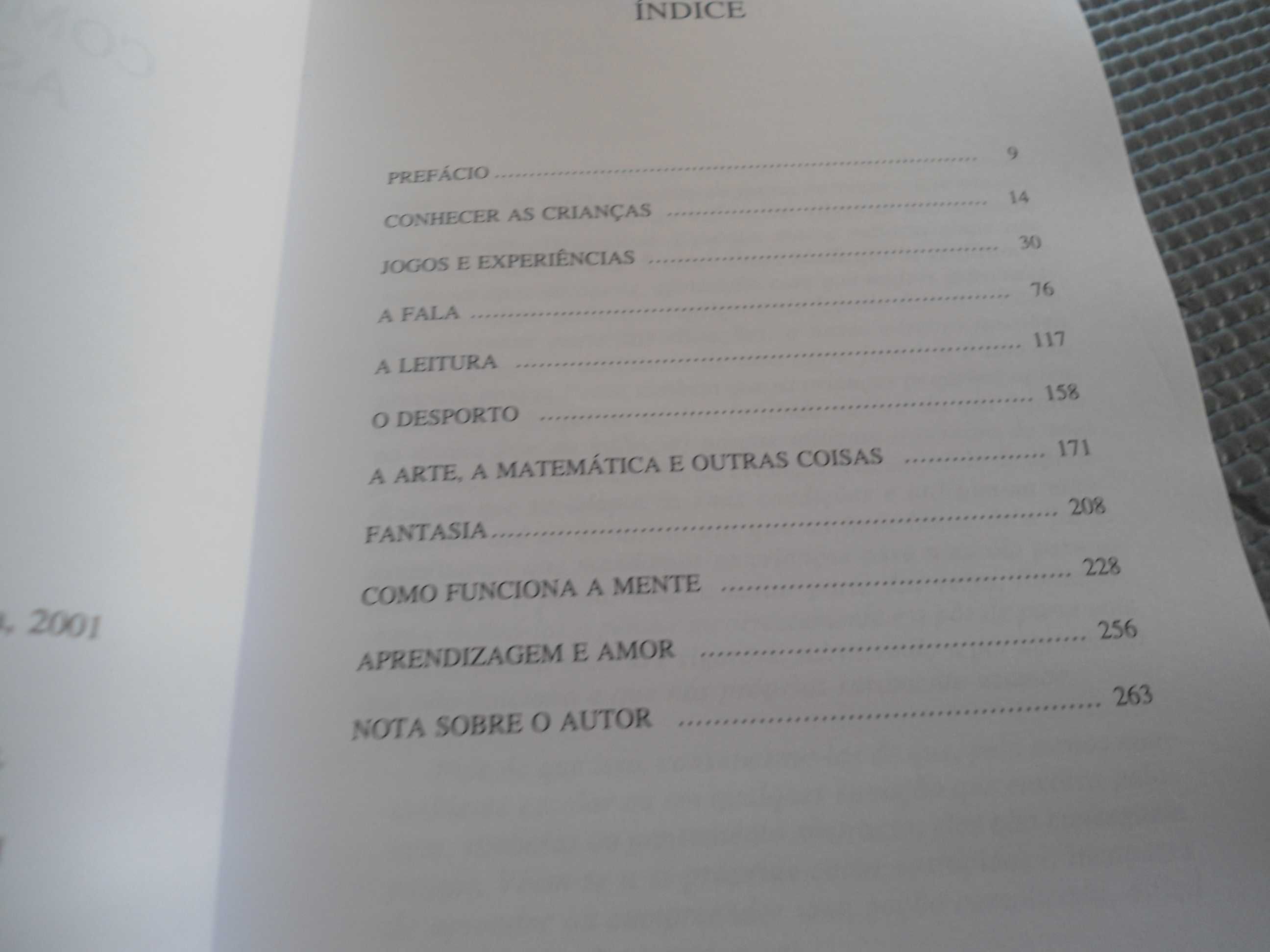 Como Aprendem as Crianças por John Holt