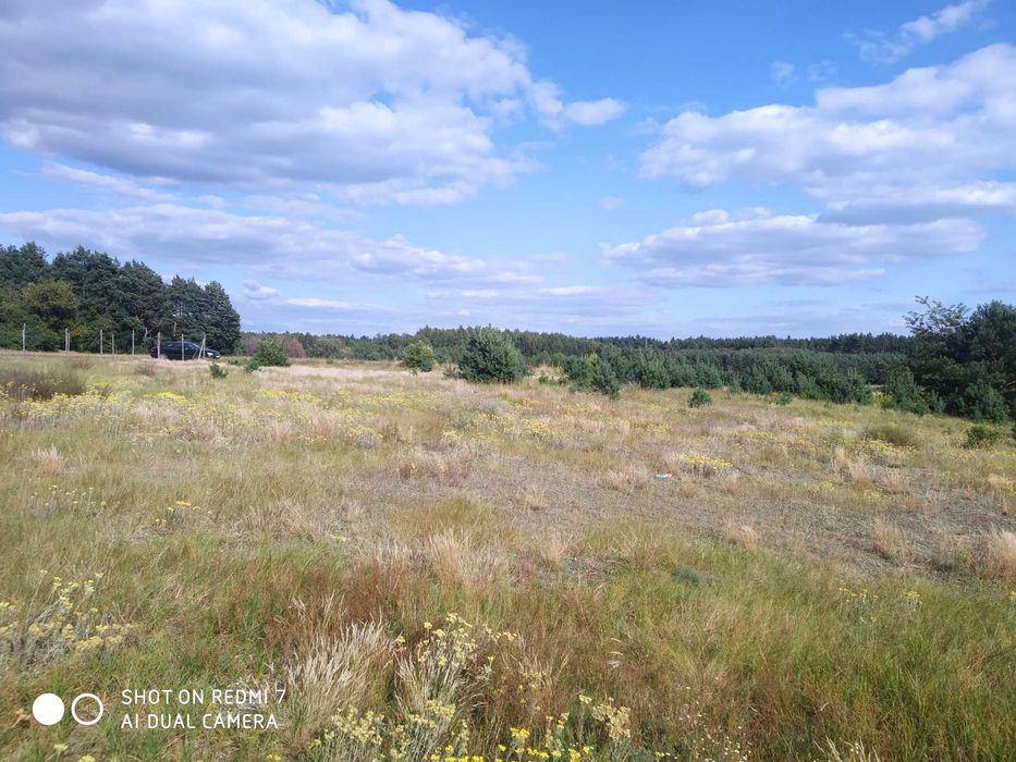 Urokliwa działka dla miłośników przyrody