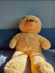 pluszowy miś/teedy bear