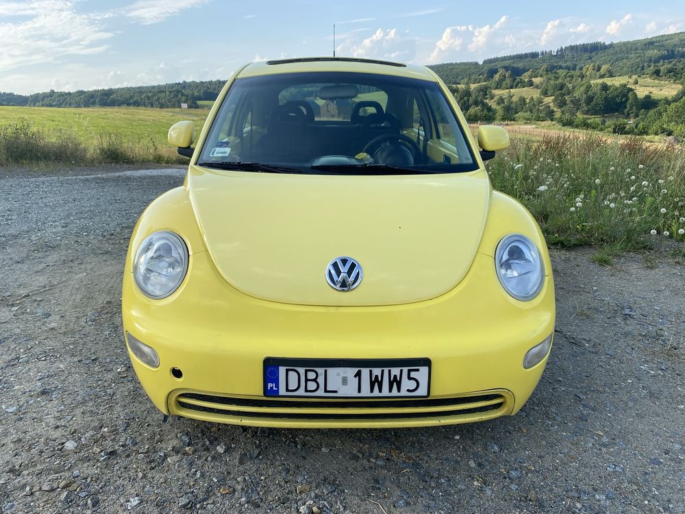 Volkswagen new beetle 1999 2.0 Benzyna + LPG