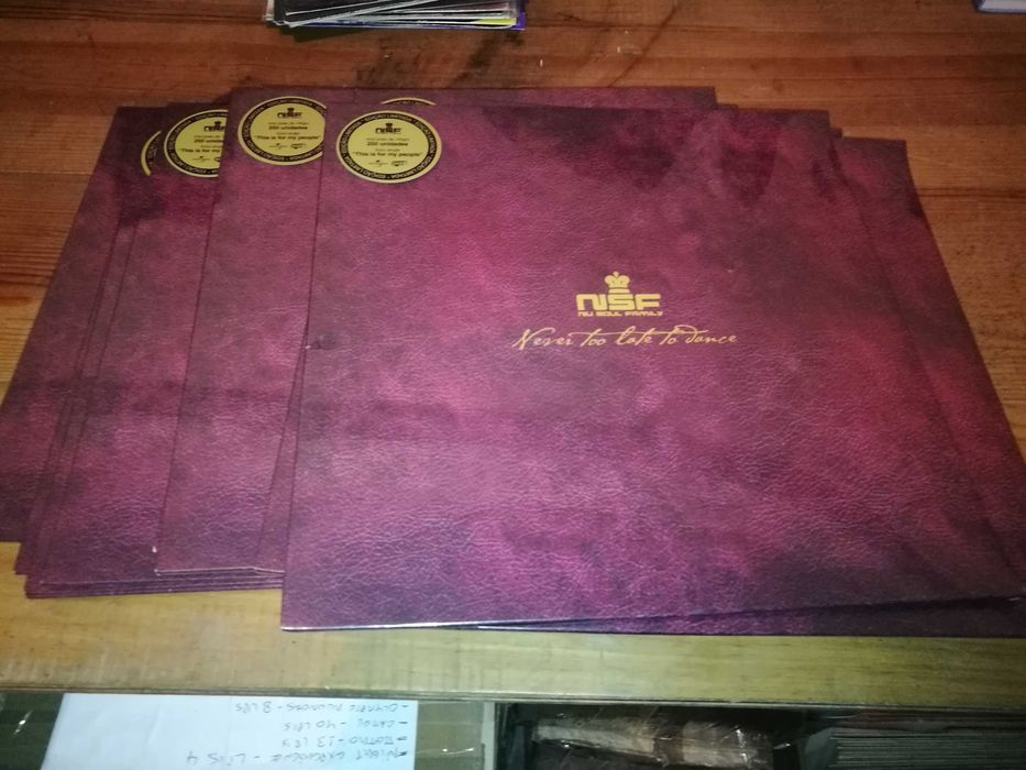 NU SOUL FAMILY  (PORT – Soul-Funk) Never To late To Dance LP