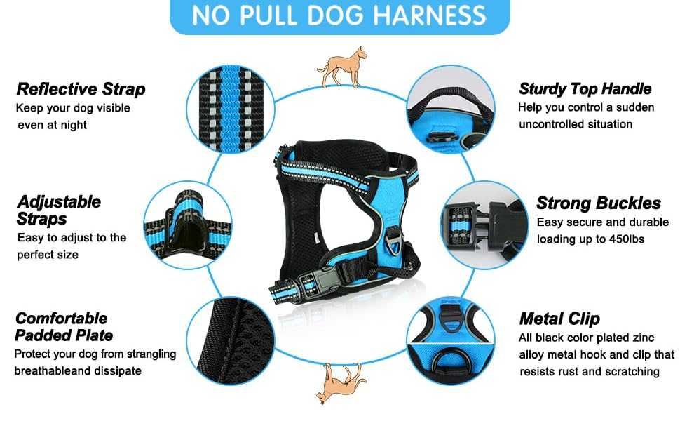 Szelki dla psa i smycz Sibotar S