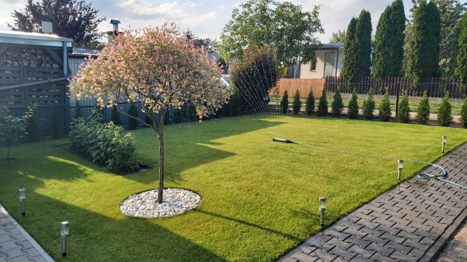 Działka ROD 700-lecia Buk koło Poznania