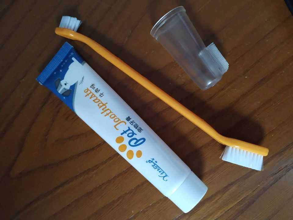 Roupas e escova de dentes para cães pequenos