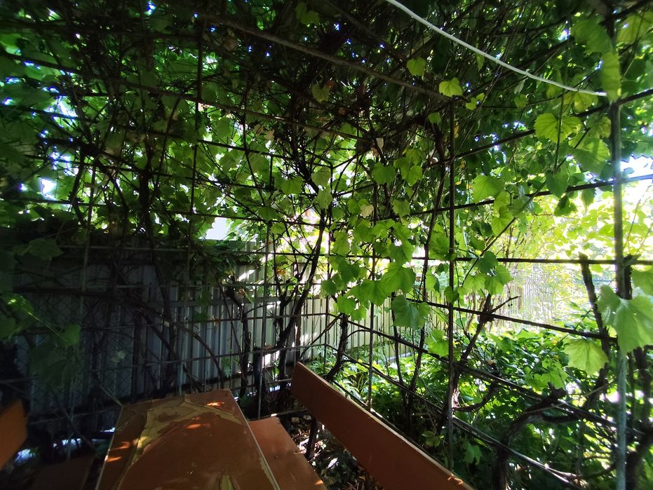 Дача с.Романівка