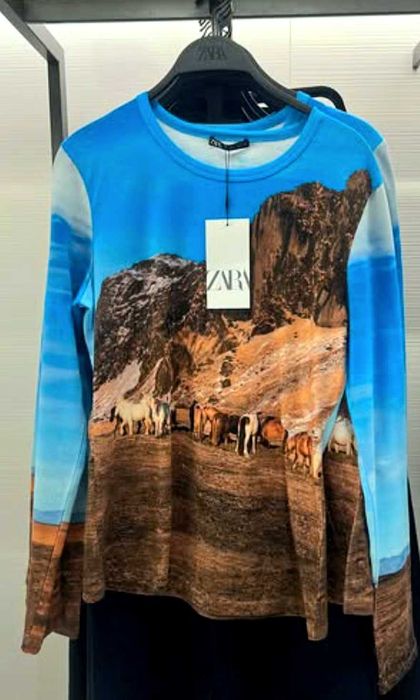 Реглан лонглислив Zara р. M - L с принтом, Зара.