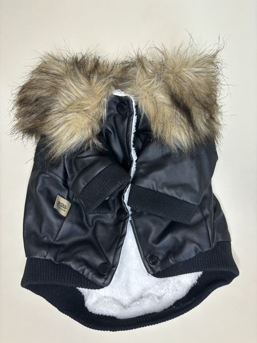 Одяг для собак