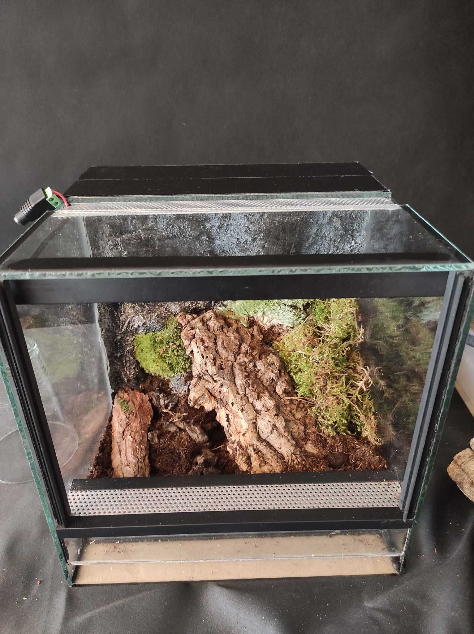 Terrarium 25x25x25 szklane