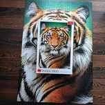 Puzzle Trefl, Tygrys, 1500 el.
